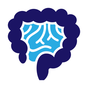 Intestine, Stomach, Bowels, Digestive System, Body Parts icon