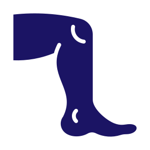 Leg, Knee, Body Part, Human Body, Muscle icon