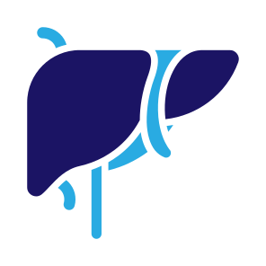 Liver, Organ, Body Organ, Anatomy, Body Part icon