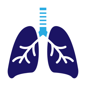 Lungs, Organ, Breath, Anatomy, Healthcare And Medical icon