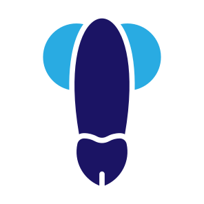 Penis, Reproductive System, Human Body, Body Parts, Anatomy icon
