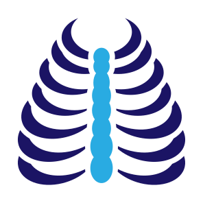 Rib Cage, Bones, Body Part, Skeleton, Human Body  icon