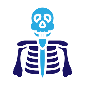 Skeleton, Bones, Skull, Human Body, Anatomy icon