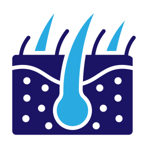 Skin, Hair, Follicle, Epidermis, Dermatology  icon