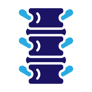 Spine, Bone, Skeleton, Spinal Column, Backbone  icon