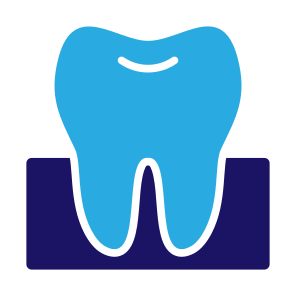 Teeth, Tooth, Dentist, Molar, Premolar icon