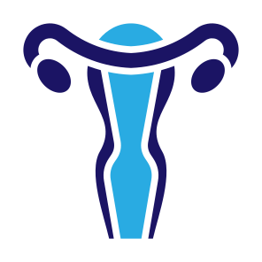 Uterus, Female Organs, Reproductive System, Ovaries, Anatomy icon