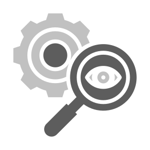 Inspection, Audit, Research, Investigation, Vision, Search  icon