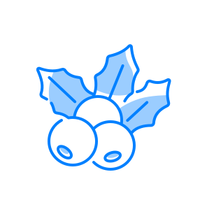 Mistletoe, Plant, Holiday, Christmas, Berries, Leaves, Decoration, Winter, Tradition, Green, Festive icon