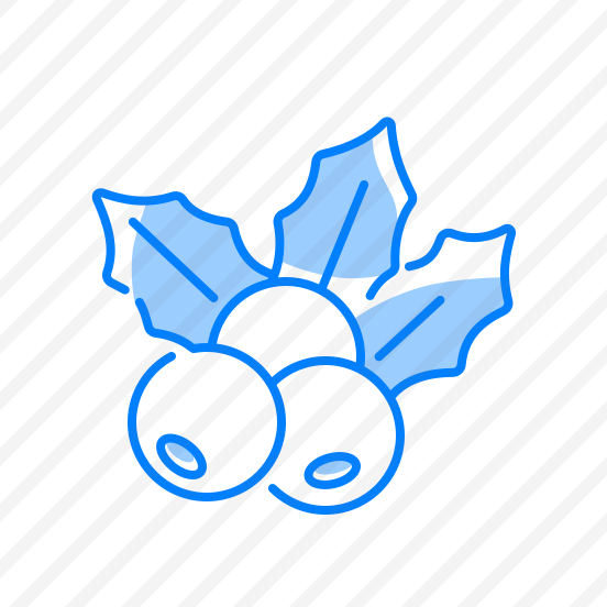 Mistletoe, Plant, Holiday, Christmas, Berries, Leaves, Decoration, Winter, Tradition, Green, Festive preview