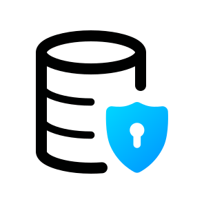 Data Scurity, Privacy, Lock, Secure, Shield, Protection,technology, Network, Internet, Data Protection icon