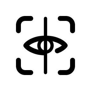Eye Scan, Security, Iris, Digital, Biometric, Recognition, Identification, Authentication, Face, Identity icon