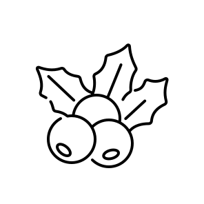 Mistletoe, Plant, Holiday, Christmas, Berries, Leaves, Decoration, Winter, Tradition, Green, Festive icon