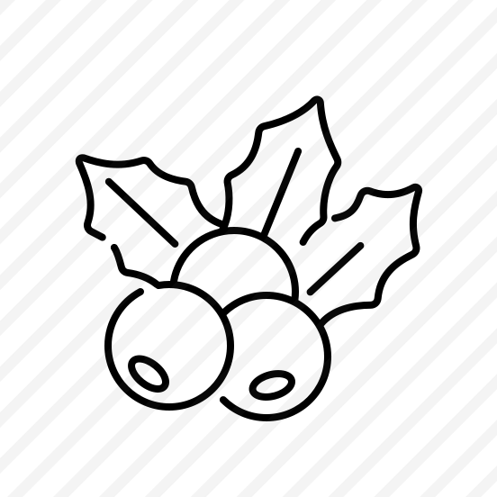 Mistletoe, Plant, Holiday, Christmas, Berries, Leaves, Decoration, Winter, Tradition, Green, Festive preview