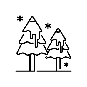 Pine, Tree, Evergreen, Forest, Nature, Winter, Conifer, Foliage, Botanical, Green, Wood icon