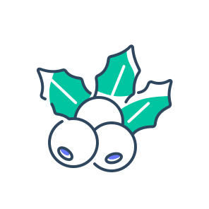 Mistletoe, Plant, Holiday, Christmas, Berries, Leaves, Decoration, Winter, Tradition, Green, Festive icon