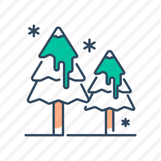 Pine, Tree, Evergreen, Forest, Nature, Winter, Conifer, Foliage, Botanical, Green, Wood preview