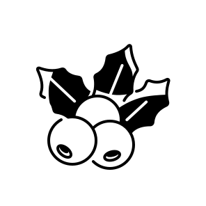 Mistletoe, Plant, Holiday, Christmas, Berries, Leaves, Decoration, Winter, Tradition, Green, Festive icon