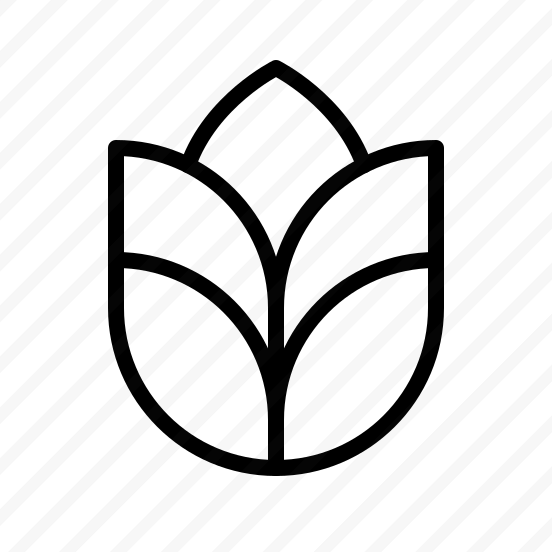Grains Thin preview