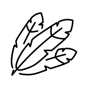 Eagle Feather icon