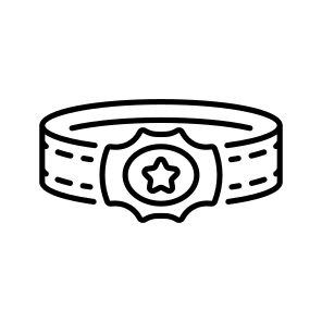 Western Belt icon