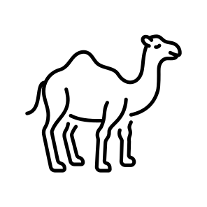 Camel icon