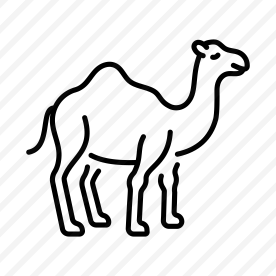 Camel preview