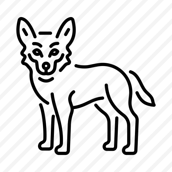 Egyptian Jackal preview