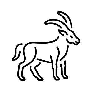 Ibex icon