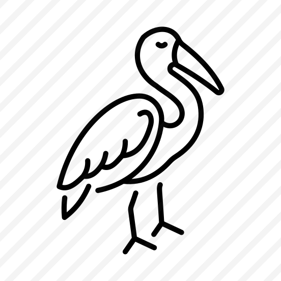 Ibis Bird preview