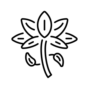 Lotus Flower icon