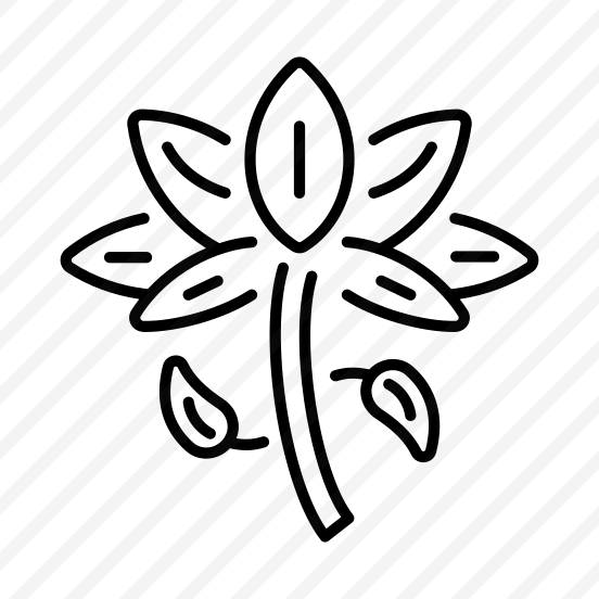 Lotus Flower preview