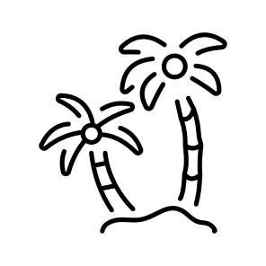 Palm Tree icon