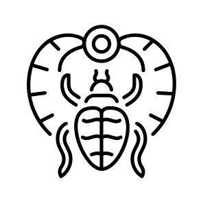 Scarab icon