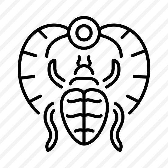 Scarab preview