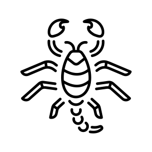 Scorpion icon