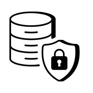 Data Security icon