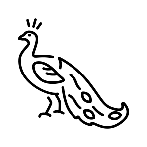 Peacock icon