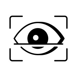Eye Scan icon