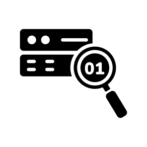 Data Search icon