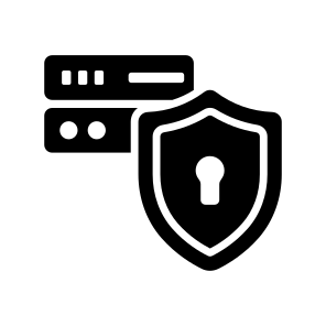 Secure Server icon