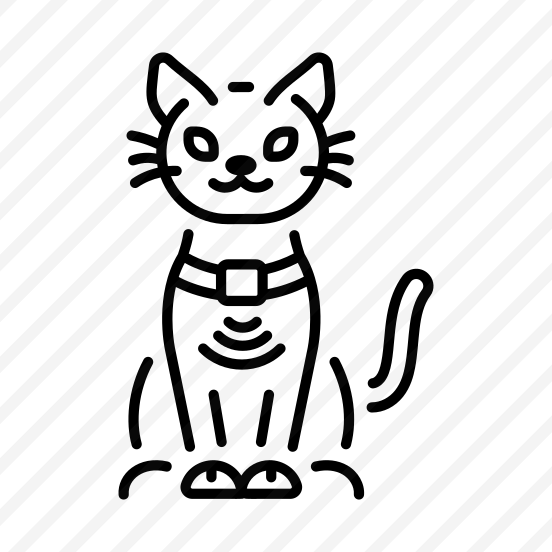 Digital Collar preview