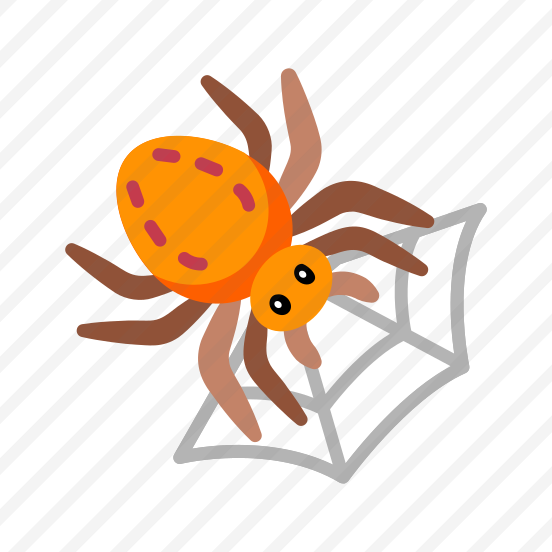 Spider preview