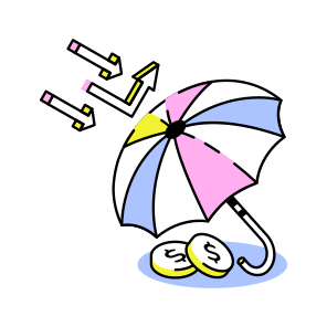 Asset Protection icon