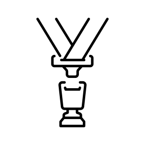 Seat Belt icon