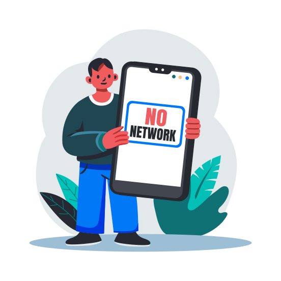 No Network illustration