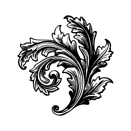 Acanthus Flower illustration