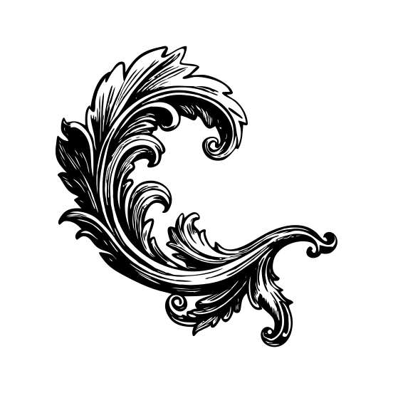 Acanthus Leaf illustration