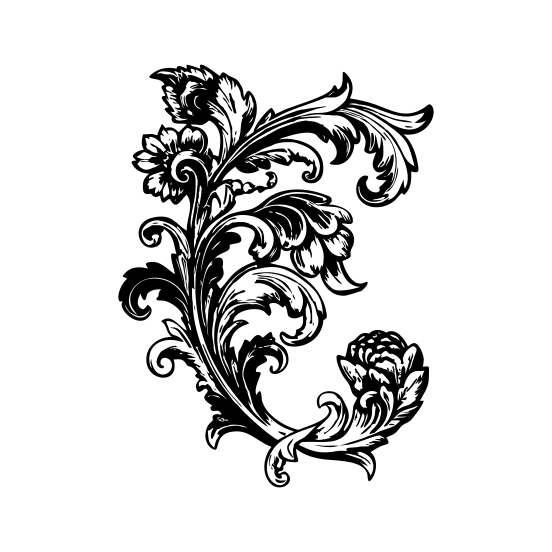 Baroque Floral illustration