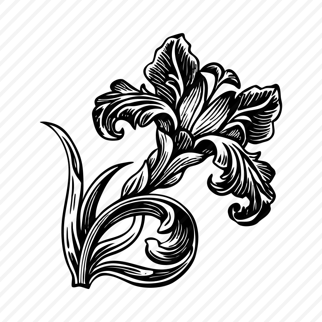 Blooming Iris preview